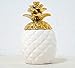 Contenitore colorato in ceramica a forma di ananas con coperchio, barattolo per biscotti, contenitore per alimenti, realizzato a mano, con corona meta...