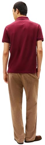 Image of Tommy Hilfiger Men's Short Sleeve Cotton Pique Polo Shirt in Regular Fit 2024 Collection