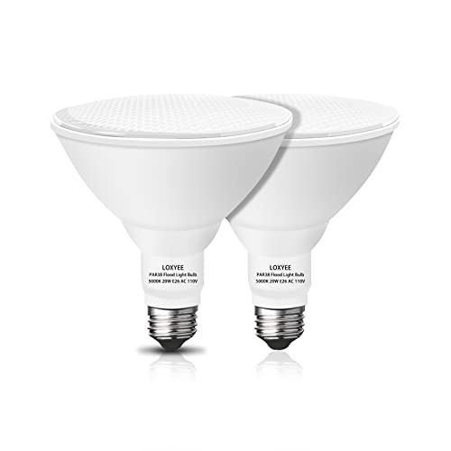 15 Best LED Light Bulbs for Outdoor Fixtures (2021 Buyer's guide)