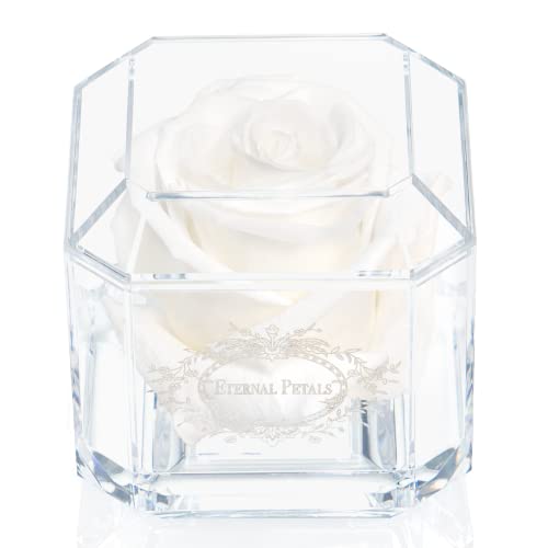 A 100% Real Rose That Lasts Years - Eternal Petals, Handmade in UK – White Gold Solo (White)