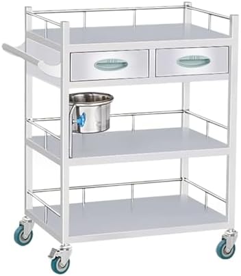 Stainless Steel 2-Layer Medical Trolley Cart for Clinics & Hospitals, Durable Rolling Cart, Aesthetic Lab Equipment, Max Load 150kg, Size: 66x44x86cm