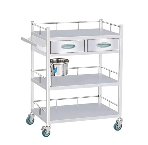 2-Layer Medical Trolley Stainless Steel Rolling Cart for Aesthetic Medical Laboratory Clinic Hospital Maximum Load 150kg(60x40x86cm)