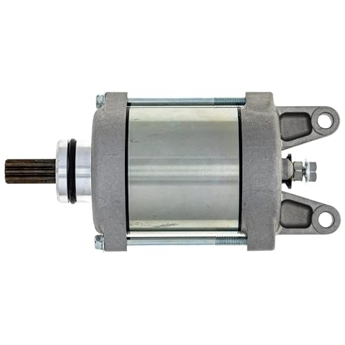 9 Zähne Motorrad Starter Motor Für Ninja 300 Für Versys-X KLE300 21163-0717