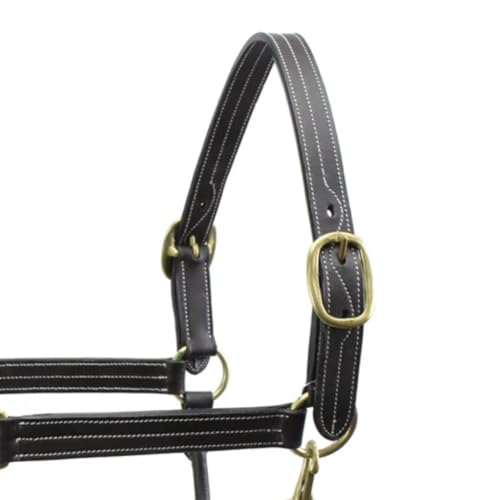 Licol de cheval triple couture réglable en cuir supérieur