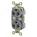 Bryant Bry5462gry Techspec174; Industrial Grade Duplex Receptacle, 20a, 250v, Gray