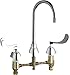 CHICAGO FAUCETS 786-E35VPCABCP Concealed Hot and Cold Water Sink Faucet