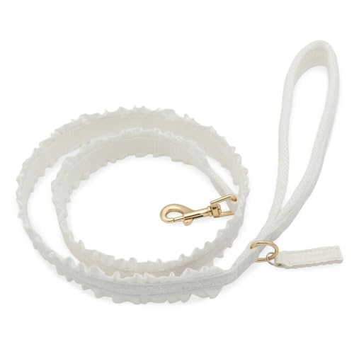 ybgp_CX  [h  [X t ^ yQl S V[Y[ ~j`AViEU[ (`8kg) ybgp_CXcX72XܓWJ2025/10/1_z