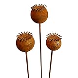 3er Set Gartenstecker Sonnenhut Metall Rost Gartendeko Edelrost Rankstab Beetstecker Topfstecker Naturrost (Edelrost Mohn Kapsel C)
