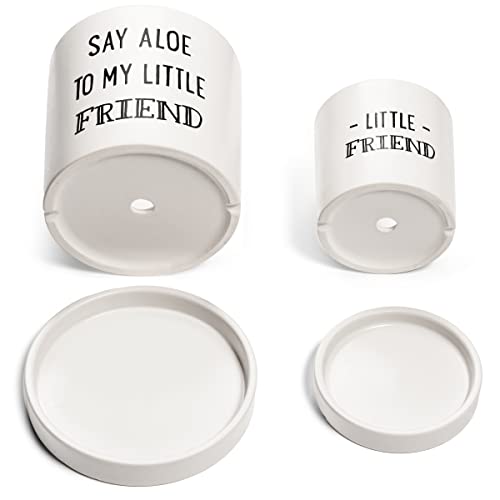 Laila And Lainey Aloe Pot And Succulent Planter - Set Of Two - Funny Housewarming Gift #TOP2