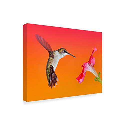 Trademark Fine Art The Flower Dance I by Leda Robertson, 24x32-Inch, by Trademark Fine Art - Image 2