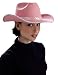Forum Novelties Junior's Standard DLX Cowgirl Hat with Pink Sequin Party Supplies, 12 x 12 x 8" 65604