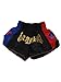 Anotherboxer Unisex Muay Thai Kickboxing for MMA Shorts, Breathable Polyester Fighting Shorts with Elastic Waist, Black, Size M（Black） S