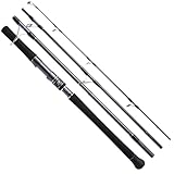 Canne à pêche pour voyager Hearty Rise