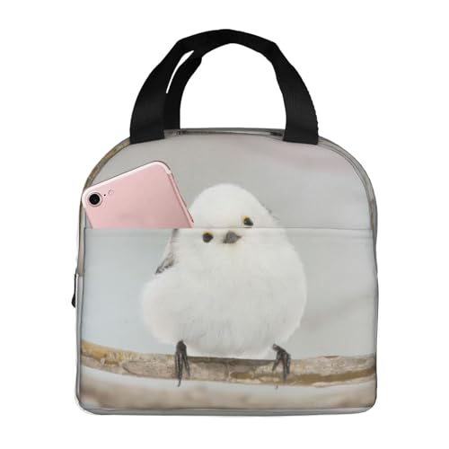 `obO V}GiK  ۗ ۉ ٓobO  RpNg O|Pbgt ~jg[gobO p肳obO fB[X Y ʋ ʊw s fB[X Y qp