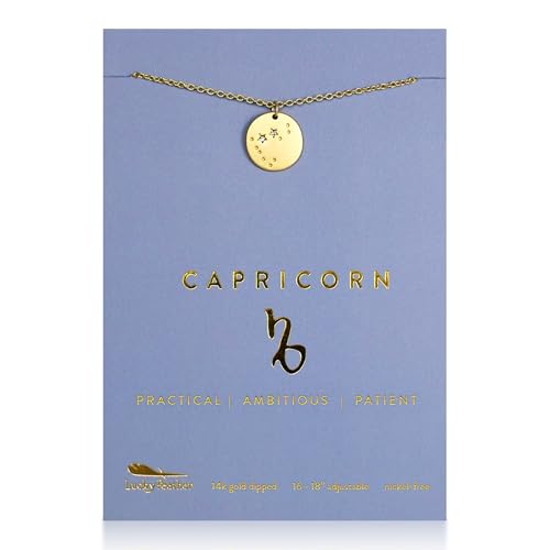 Lucky Feather Zodiac Necklace - 14K Gold-Dipped Constellation Pendant Necklace - Zodiac Sign Birthday Gifts for Women and Girls with Adjustable 16