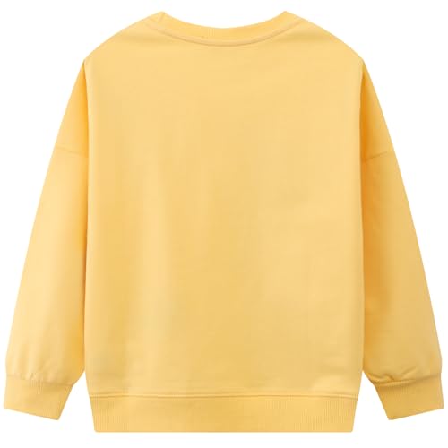 Image of Hongshilian Unisex Kids Cute Cartoon Cotton Sweater Shirt