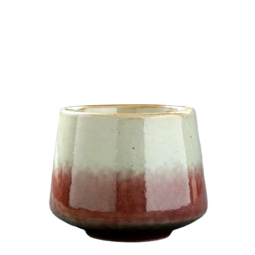 SLJYM - Taza de té vintage de cerámica Raku hecha a mano de cerámica gruesa Kung Fu esmaltada, diseño único para uso doméstico