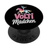 Voltigieren Pferde Turnen Reiterin