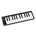 Nektar SE25 Mini-Keys USB MIDI Controller Keyboard with Nektar DAW Integration On Board günstig Kaufen-Nektar SE25 Mini-Keys USB MIDI Controller Keyboard with Nektar DAW Integration