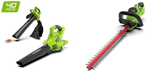 soffiatori di foglie di batteria greenworks