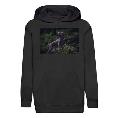 Sweat à capuche enfant Braque de Weimar | Sweat premium gris