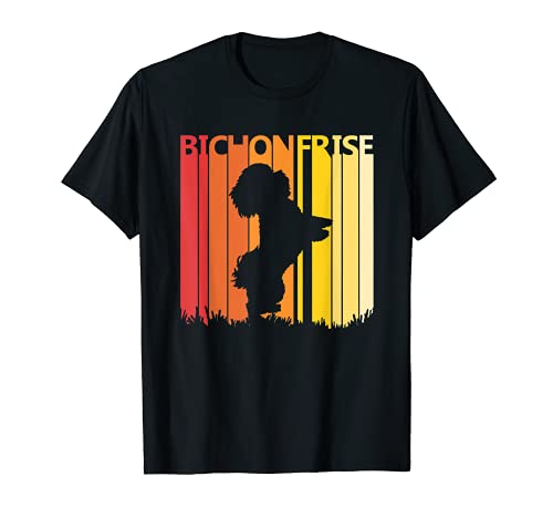 Bichon Frise - Bichon à poil frisé