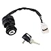 STABSOLI Starter Motor & Solenoid Relay & Ignition Switch for Yamaha Timberwolf 250 2WD YFB250 1994-1999, Timberwolf 250 4WD YFB250F 1994-2000 29U-81800-61-00 4XE-81890-00-00