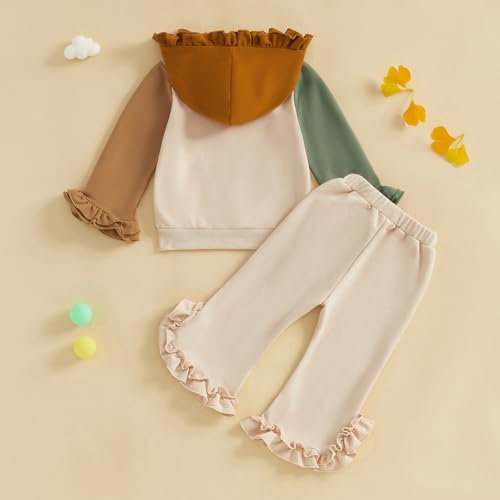 BemeyourBBs Little Toddler Girl Outfit Ruffle Color Block Hoodie Sweatshirt Pants Set Fall Winter Spring Cute Girl Clothes4