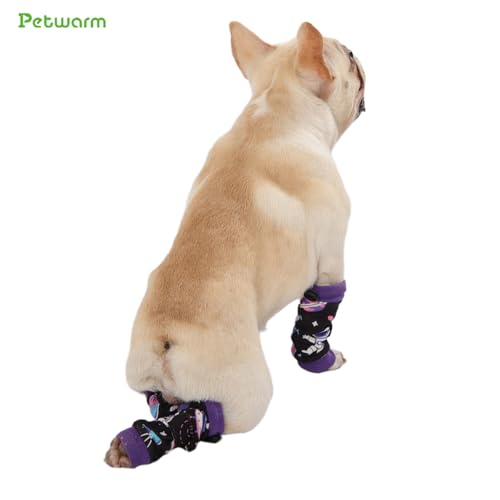 Essentiels de récupération pour animaux PetWarm : manchons de compression et genouillères
