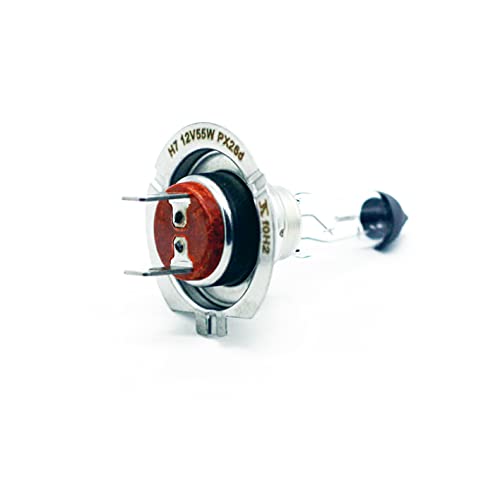 XENCN H7 12V 55W PX26d Lampadine Off-Road
