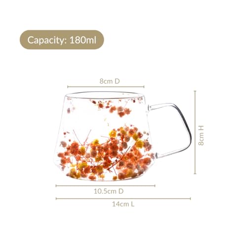 Image of Nestasia Double Wall Glass Mug with Dried Flowers Set of 2 (180ml Each) - Transparent Borosilicate Floral Glass Tea Cups | Lightweight & Durable Coffee Mugs - Perfect for Gifting (Yellow & Orange)