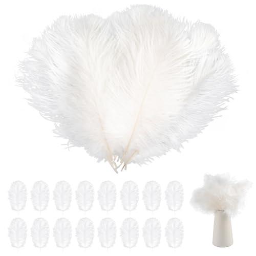 20 pcs Ostrich Feathers Natural Feathers Plume 8-10 Inch Craft Feathers White Ostrich Feathers Large for Wedding Party Home Table Decoration DIY Crafts