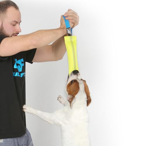 Bull Fit Beisswurst für Hunde, 30 cm mit Handschlaufe - Sehr Robustes Hundespielzeug zum Training, Tauziehen und Zerrspiele mit Hund - Aus hochwertigem Feuerwehrschlauch handgefertigt, Schwimmfähig