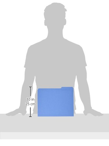 Business Source 1/3-Cut Tab Coloured File Folders #TOP1