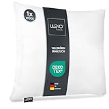 LILENO HOME Coussin en microfibre 40 x 40 cm, lavable jusqu'à 95 degrés, fermeture éclair, coussin rembourré pour lit ou comme décoration   Canapé et coussin décoratif