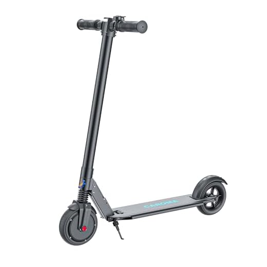 Electric Skateboard Complete with Wireless Remote Control 350W Motor, 7 Lays Maple Longboard, Three-Speed Adjustable, Skate Boards Great for Teenager and Adult