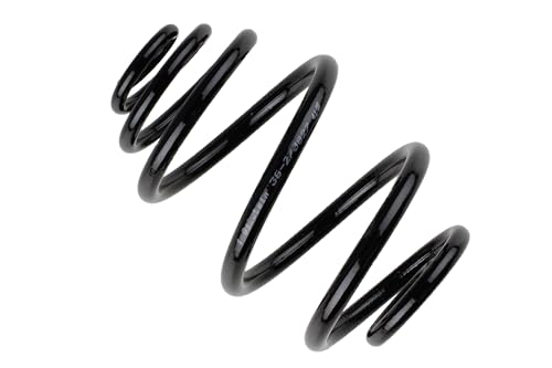 BILSTEIN B3 2x Fahrwerksfedern Federn Hinten 38-273827