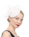 Fascinators Hats 20s 50s Hat Pillbox Hat Cocktail Tea Party Headwear Veil Girls Women(B-White)
