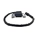 DABAZUALY 595304 Ignition Coil Magneto Armature for BS 17HP 17.5HP 19.5HP 20HP Intek OHV Lawn Mower Engines With Spark Plug Replace for Briggs 799650 592841 795315