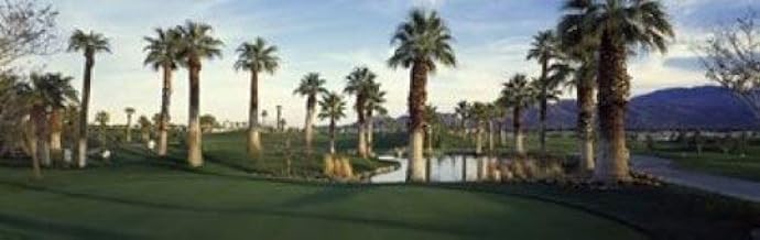 Palm trees in a golf course Desert Springs Golf Course Palm Springs Riverside County California USA Poster Print (36 x 12)