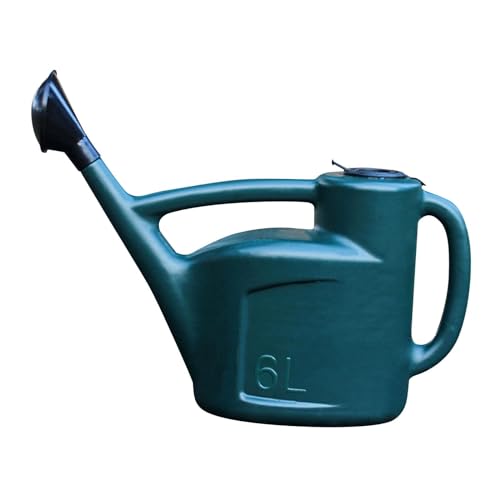 Cosiro K[f傤At̃_Ȃ傤AyʃnhtAOApẢԗp, 6L