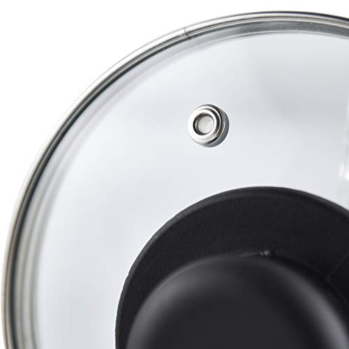 Coperchio universale, padella e pentola, vetro