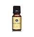 Sugar Cookies Fragrance Oil - Premium Grade Scented Oil - 10ml