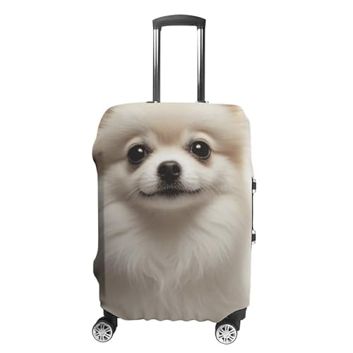 Housse de valise lavable Poméranie XL : évitez les valises abîmées