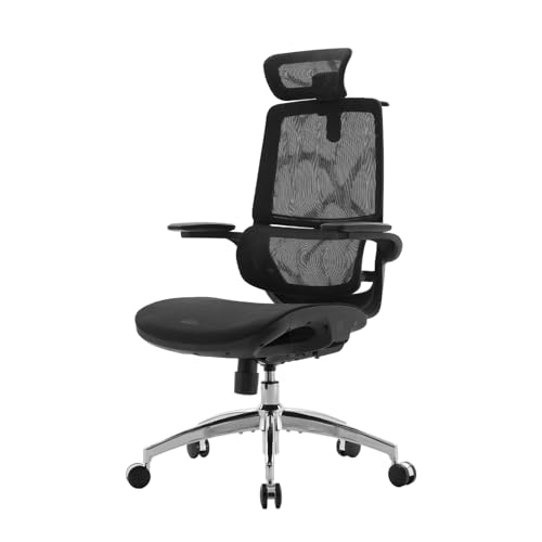 SIHOO M59AS Ergonomischer Bürostuhl mit 3D-koordinierbaren, hochklappbaren Armlehnen, Doppelsitzlehnen-Design und adaptiver Lendenwirbelstütze, Mesh-Schreibtischstuhl für das Homeoffice (Sch