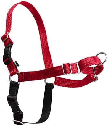 PetSafe Easy Walk Harness for Dogs - Pull-Free Walks - Patented M...