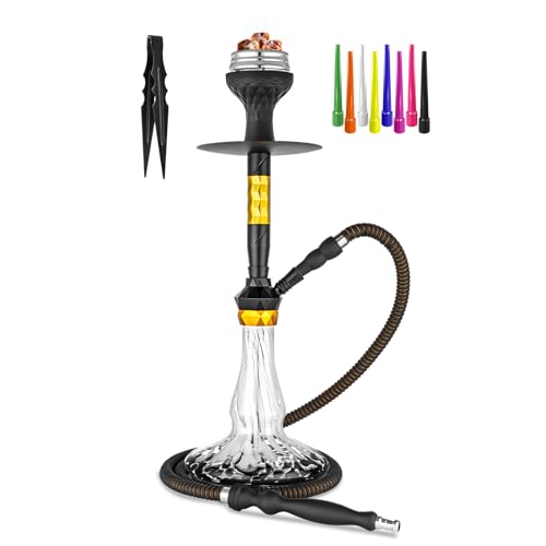 22 Hookah Set With Everything - Modern Colored Glass Vase Ceramic Bowl HMD Heavy Duty Coal Tongs Leather Silk Hosefeidao