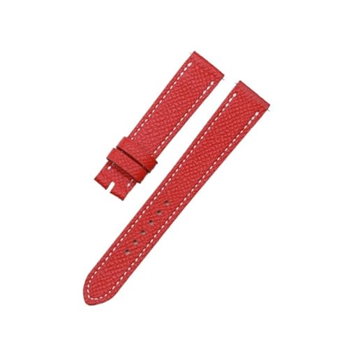 GX HA[ HH1.210 501 16mm/20mm J[tU[EHb`XgbvigbvC[U[EHb`ohΉAbh×zCgTA20mmj