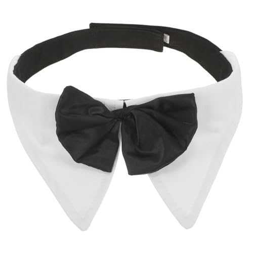 HOMOBABE ybg̒lN^C L̎ ̋ ߉\Ȍ̒lN^C