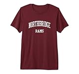 Northbridge High School...image